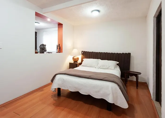 5a, Altavista, Garden House, Welcome To San Angel México DF
