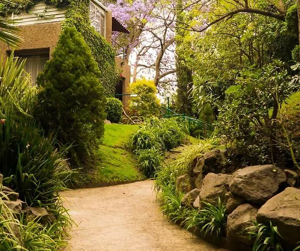5a, Altavista, Garden House, Welcome To San Angel México DF