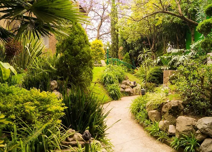 Apartamento 5a, Altavista, Garden House, Welcome To San Angel